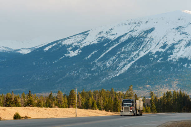 Just 6 kilometers from Jasper, scorched trees line the road, revealing the lingering scars of wildfire.