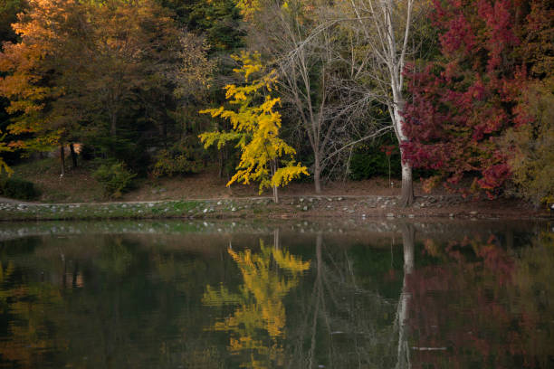 Fall Colors over Lake Jean at Ricketts Glen State Park near Benton, Pennsylvania.