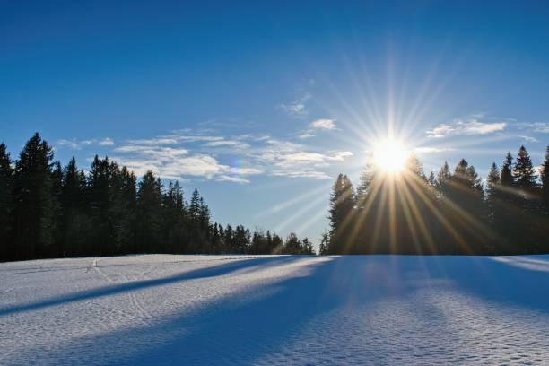 istock Beautiful winter snowy landscape and sun 2183307203