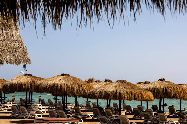istock A scenic row of thatched umbrellas and comfortable chairs on a beautiful beach 2183307749