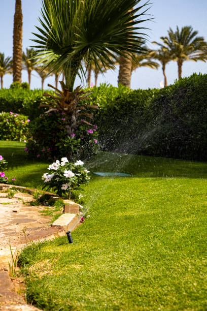istock A sprinkler sprays water on a lush green lawn with palm trees 2183308640