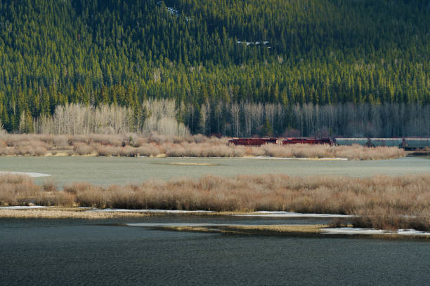 Train through the Bow Valley in Banff National Park in spring  with snow
