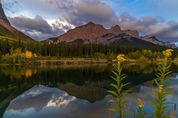 istock Flowers Framing Quarry Lake Mountains In Canmore 2183315389