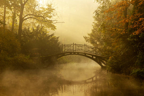 istock Autumn in the park 2183317351
