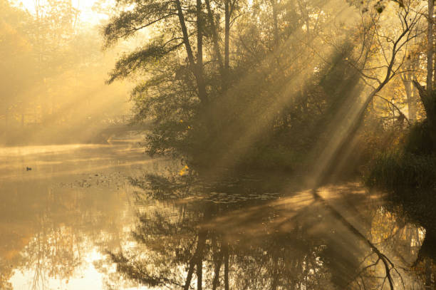 istock Autumn background with sunbeams 2183318306