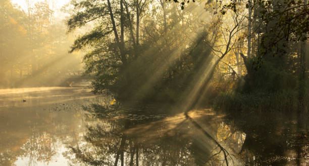 istock Autumn in the park 2183318309