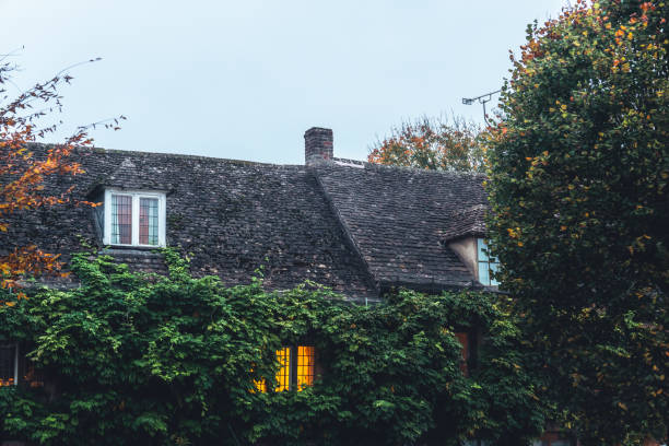 istock Window classic vintage in frame surrounded by climbers climbing plants growing on wall 2183318769