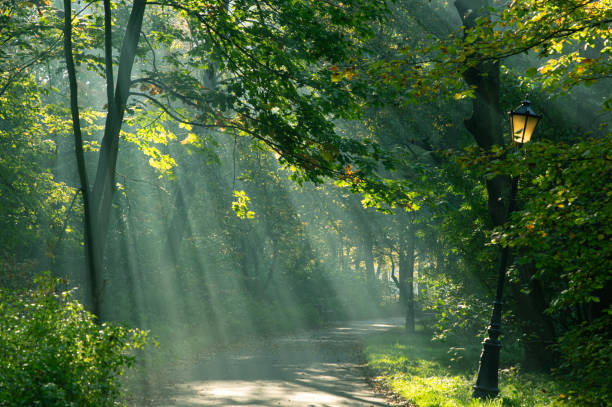A beautiful park in Poland in the city of Pszczyna in the morning