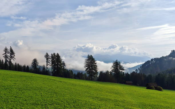 istock Lush green meadow under a cloudy sky with pine trees and distant mountains in the background 2183323798