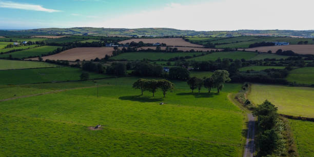 istock green farm fields, top view. Agricultural landscape in summer. Grass fields and trees. Green grass field with trees 2183324463