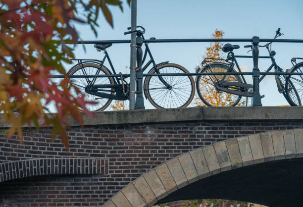 Dutch Bikes Along the Canal in a Picturesque Autumn Setting