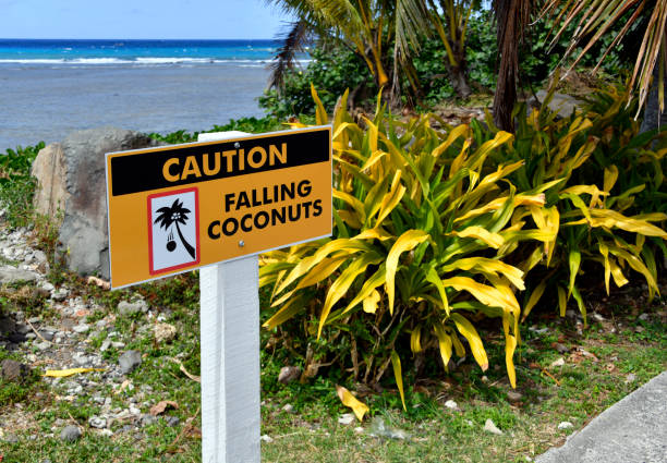 istock Falling coconuts - danger sign, Avarua, Rarotonga, Cook Islands 2183327416