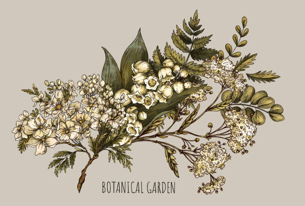 istock Vintage Botanical White Flowers Greeting Card, Ferns and Moths 2183330175
