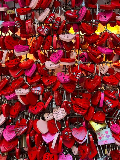 red and pink padlocks with writing on them attached at a gate
