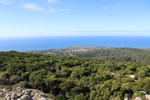 istock ocean forest trees nature mountain sintra sky 2183334917