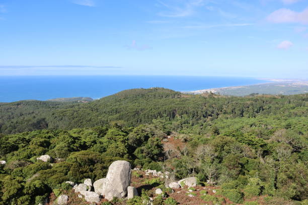 istock ocean forest trees nature mountain sintra sky 2183335369