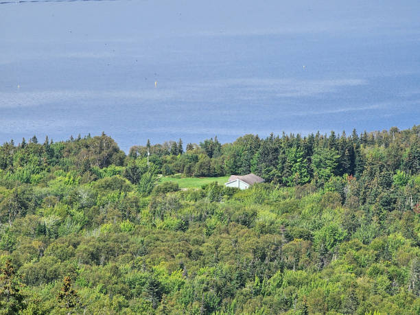 istock Aerial view of forest 2183335510