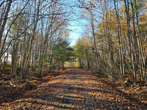 istock Hiking trail extending into the distance 2183335909