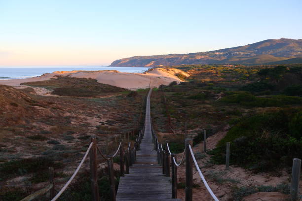 istock ocean forest trees nature mountain sintra sky travel 2183336737