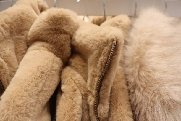 istock Discover cozy fur textures that elevate fashion and interior design aesthetics beautifully 2183337978