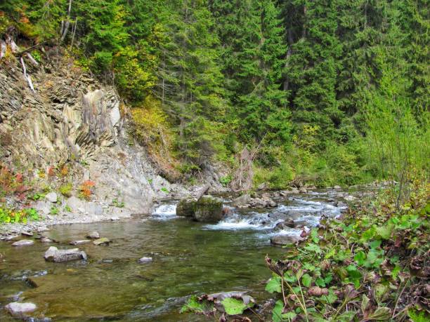 istock A beautiful river in the mountains 2183342909