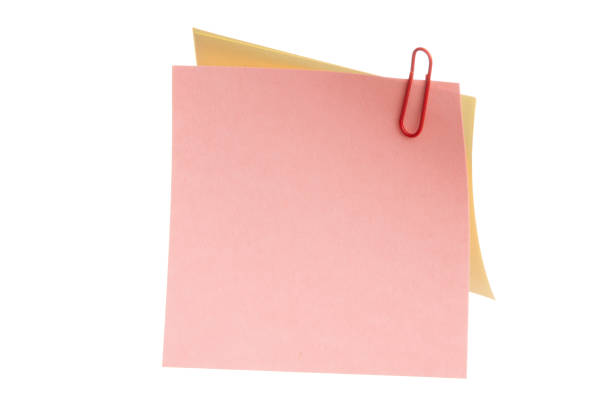 istock sheets of stapled paper clips 2183345872