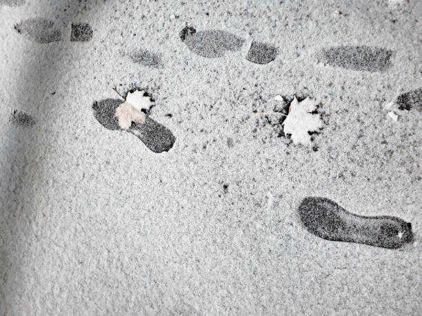 istock Street light and shadow on wet asphalt snow cover reflection 2183347450