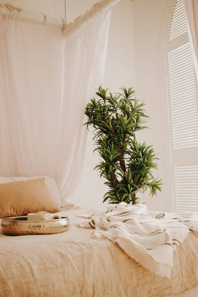 a tray and a blanket on the bed