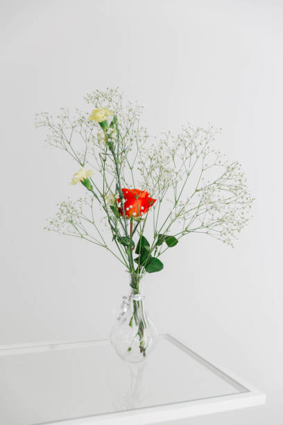 istock Carnation, Rose & Baby's Breath Arrangement 2183348707
