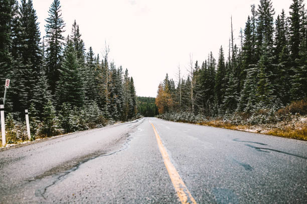 Road in the Rocky Mountains in Jasper, Alberta, Canada