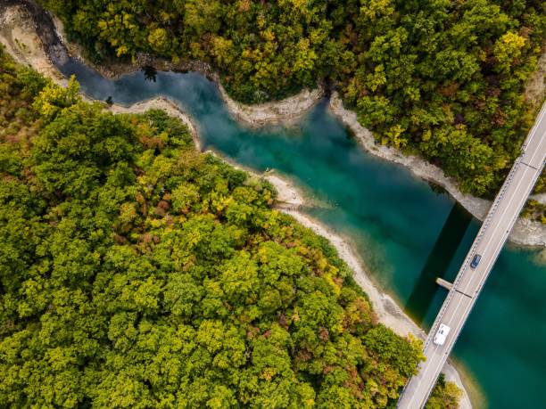 istock Aerial view of forest and river with bridge. 2183349766