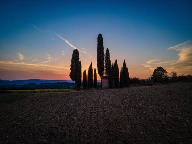 Sunset over a Tuscan landscape with silhouetted cypress trees and a vibrant sky.