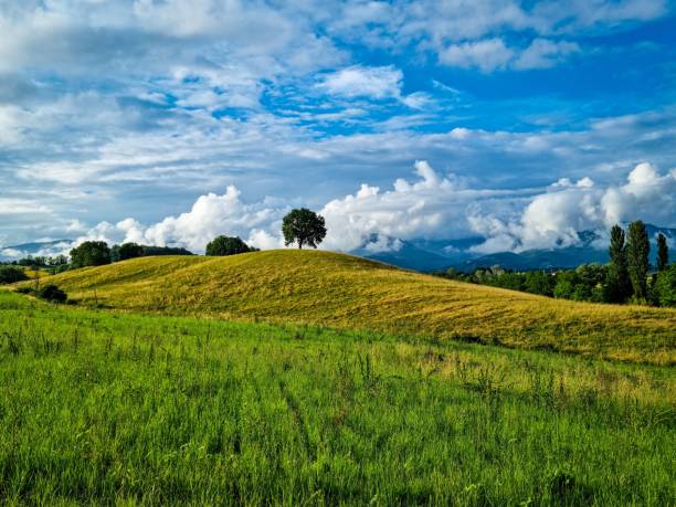 istock Scenic rolling green hills under a vibrant sky. 2183349893