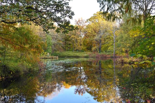 istock Autumn Scene in Berlin Tieregarten Park 2183357251