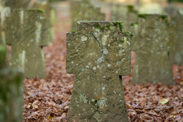 Moss and lichen at gravestones