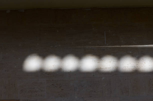 Soft light filters through leaves, casting playful shadows that dance across a warm, stone wall.