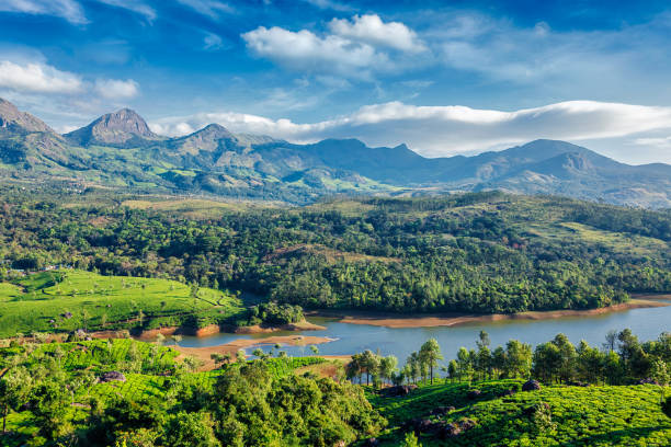 Tea plantations and river in hills. Kerala, India