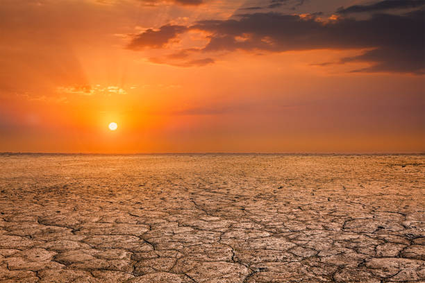 istock Cracked earth soil sunset landscape 2183368686