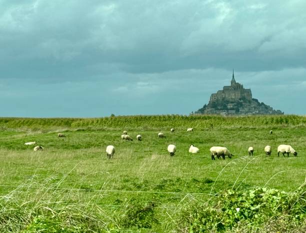 istock The Fields Before Mont Saint-Michel, France 2183370060