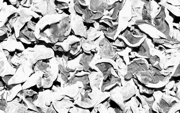 Black and white background image of dried fruit
