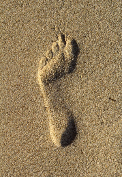 istock Footprint imprinted in the sand at a beach 2183376526