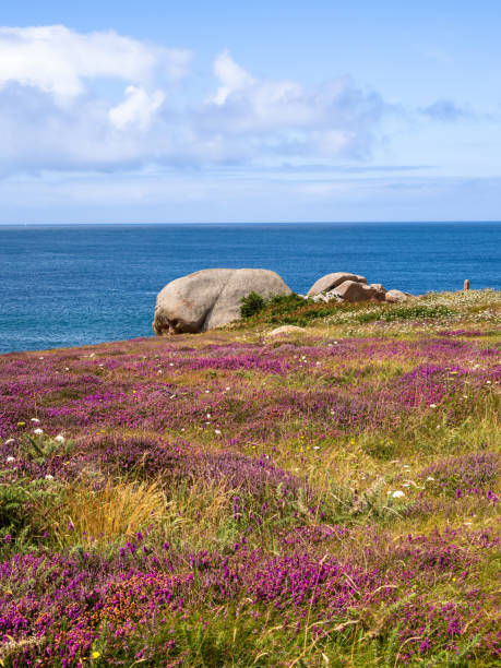 istock Ploumanach, Brittany, Pink granite coast 2183377556