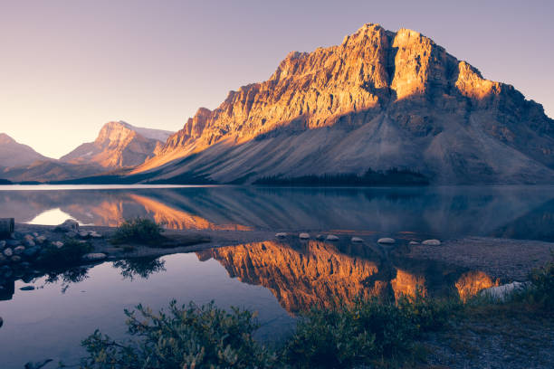 Calm Bow Lake water in morning sun