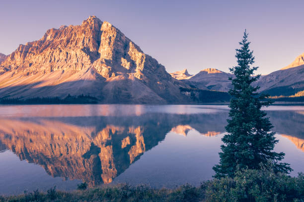 istock Calm Bow Lake water in morning sun 2183387296