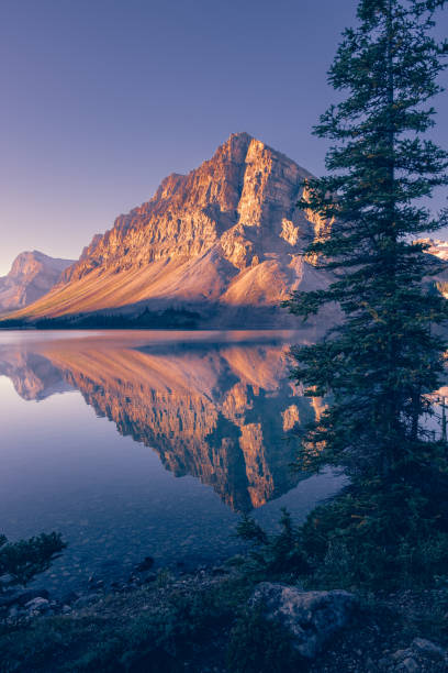 istock Calm Bow Lake water in morning sun 2183387456