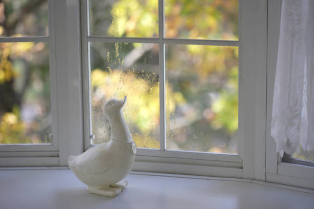 Sunset light dappling through window shade with an arrangement of home made craft stuffed animals