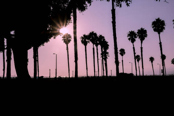istock Sunset at Santa Monica Beach 2183400995
