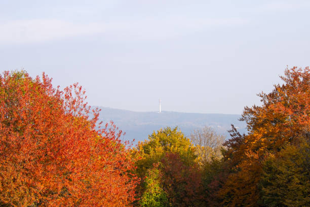 A vibrant autumn landscape with trees in shades of yellow, orange, and red. In the background, a distant tower rises above the forested hill, adding a point of interest to the scene.