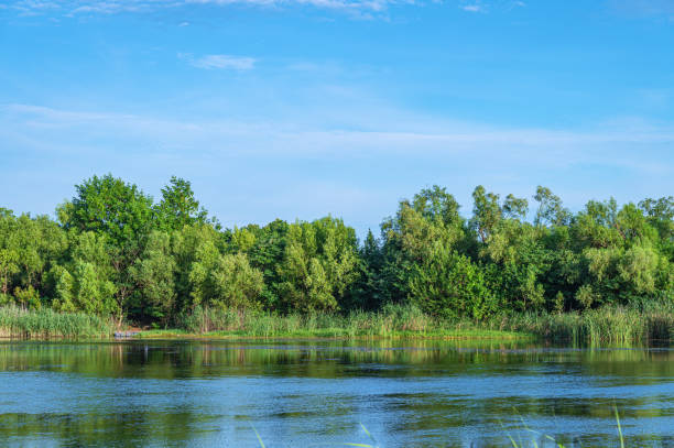 Beautiful scenery with river bank and blue sky