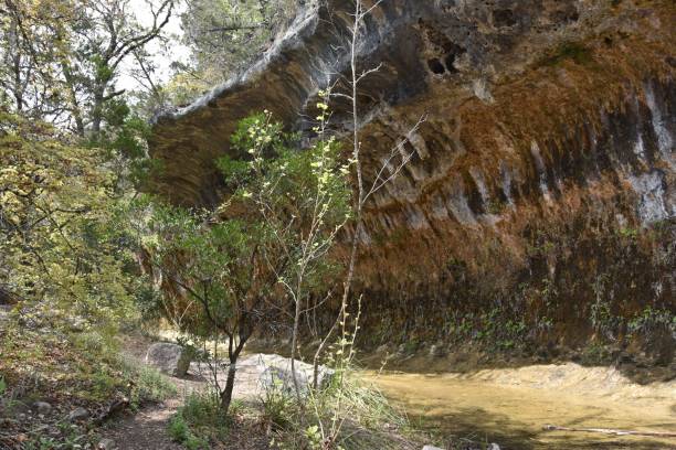 istock Path by rocky cliff with forest trees in Lost Maples State Park, Texas on a sunny day 2183409817